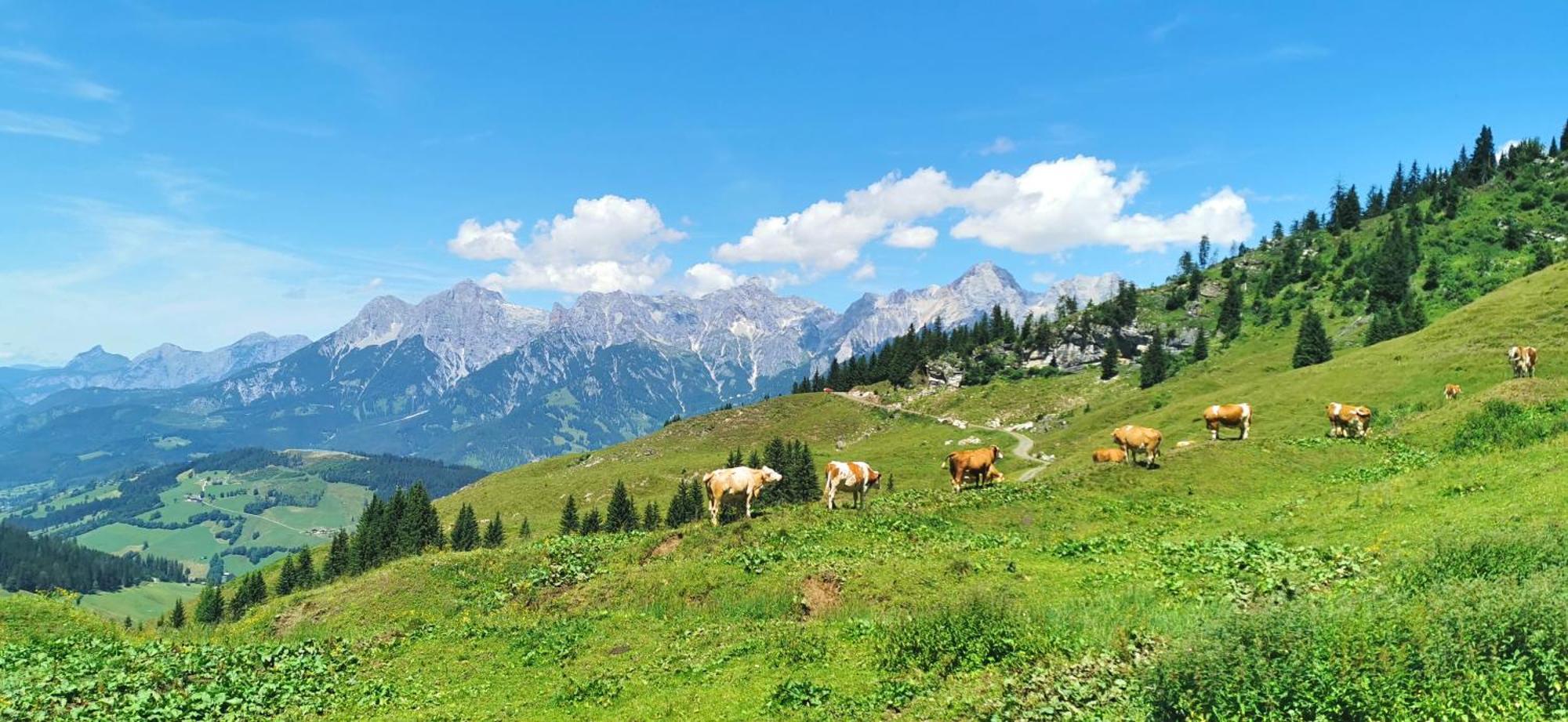 Maria Alm - Cozy & Modern Apartment Mountain View Saalfelden Bagian luar foto